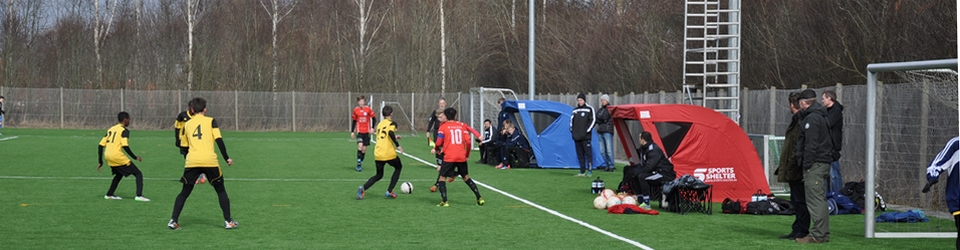DSC_0214_2.jpg